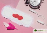 Фоликуларна фаза – първата стъпка към менструалния цикъл