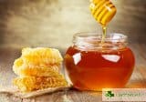 Медът и неговите лечебни свойства