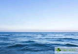 Морелечението: Здраве с мирис на море