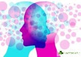 Психоневроимунология - връзката между ума и нервната система