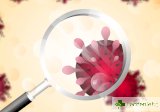 Септицемия: Инфекцията, която „поглъща“ организма