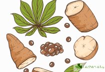 Ползите от Дивия Ям