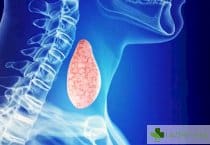 Щитовидната жлеза за организма ни - с какво ни е нужна