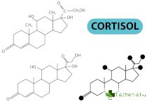 Кортизолът