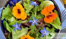 Полезни и вкусни цветя, които стават за ядене