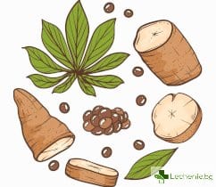 Ползите от Дивия Ям