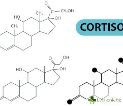 Кортизолът