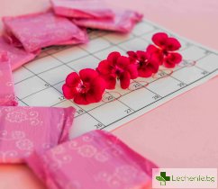 Менструален синхрон