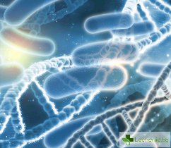 Стрептококи в гърлото