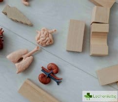 Заболявания, свързани с тежест в гърдите