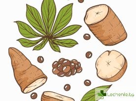 Ползите от Дивия Ям