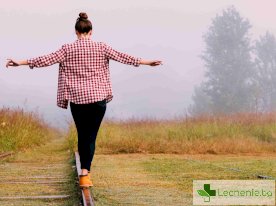 Вестибуларен апарат