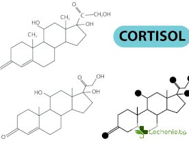 Синдром на Кушинг- значение