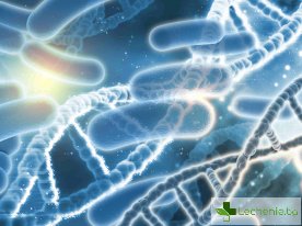 Стрептококи в гърлото