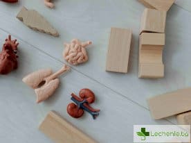 Заболявания, свързани с тежест в гърдите