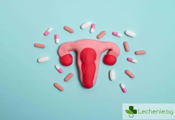 Ролята на естрадиола