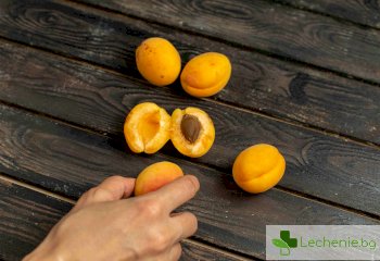 Кайсиеви ядки