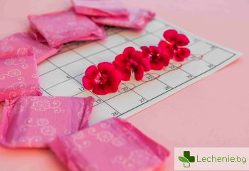 Менструален синхрон