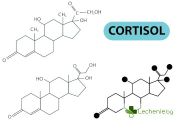 Синдром на Кушинг- значение