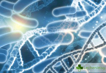 Стрептококи в гърлото