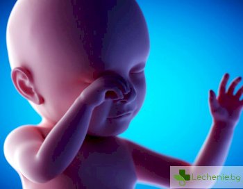 40 седмици в утробата на мама - какво прави бебето