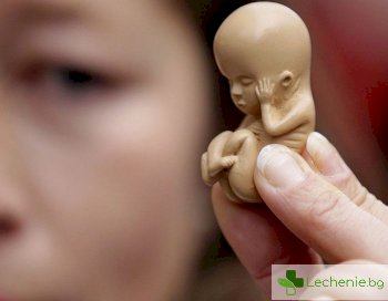 Кои са най-разпространените митове за спонтанния аборт