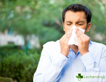 Лъжливите алергени, от които се боим напразно