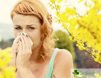Как да се справим с алергиите през лятото?