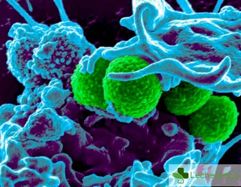 Нова супербактерия, открита в Африка издържа на почти всички антибиотици