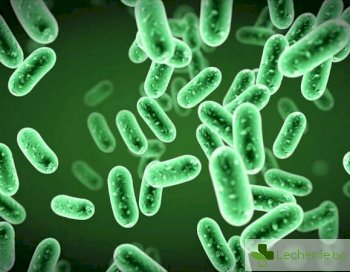 8 съвета, които ще помогнат на децата да се справят с бактериите