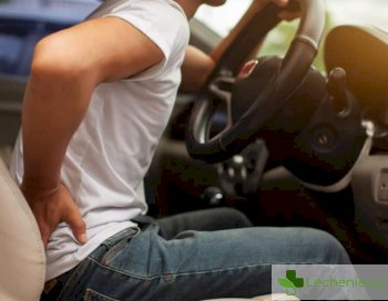 Защо дългото шофиране неизбежно води до болки в кръста