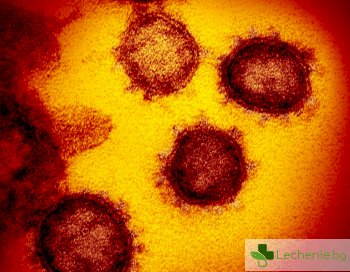Коронавирусът ни обкръжи, първи заразен регистриран в Сърбия