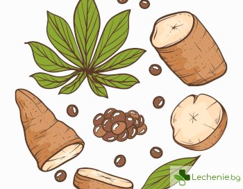 Ползите от Дивия Ям