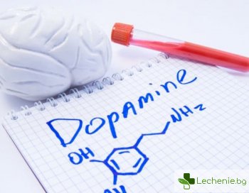 Допаминова диета - нужно ли е да забравим за всички удоволствия
