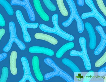 Чревни бактерии могат да предизвикват фибромиалгия