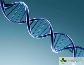Екип от китайски учени промени генома на човешкия ембрион