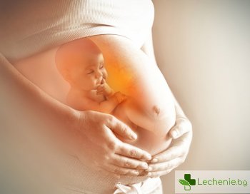 Най-голямата заблуда за бременността е опровергана