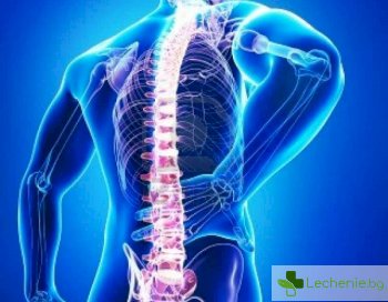 11 начина да се избавите от болката в гърба