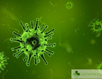 Обявиха национална грипна епидемия до 12 март за първи път от години