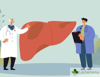 Същност на хемангиома на черния дроб