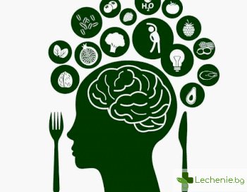 Кои храни повишават мозъчната активност