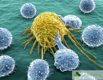 Имунната система може да пребори всички видове рак с правилната настройка