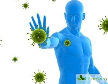 Как да поддържаме имунната си система здрава и силна