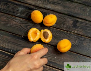 Кайсиеви ядки