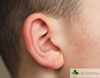 Как може да се слуша през кост - нови слухови апарати