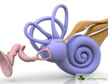 Отоакустични емисии - същност на метода, показания