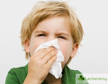 Предизвикват ли съдомиялните машини алергии при децата