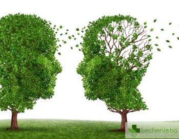 Болестта на Алцхаймер - един въпрос за 35 милиона