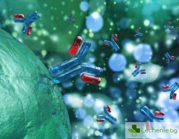 Точно попадение - антитела в изследванията и в лекарствата