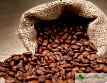 Защо кафето робуста е по-полезно за здравето от арабиката
